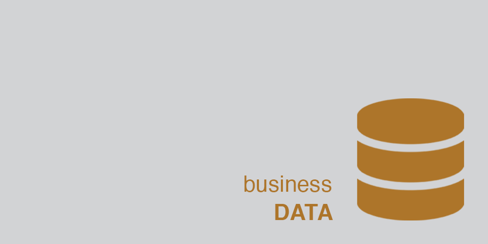 Business Data