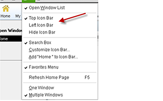 Icon Bar Option.png